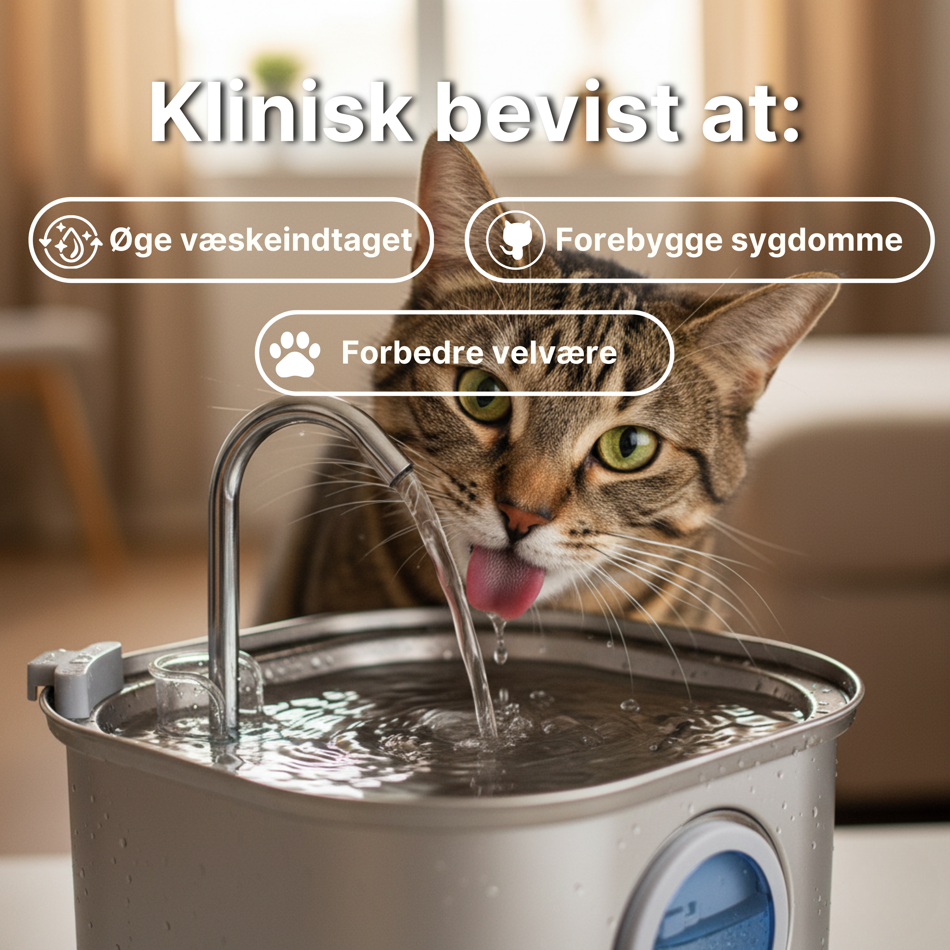 Kattellas vandfontæner i rustfrit stål