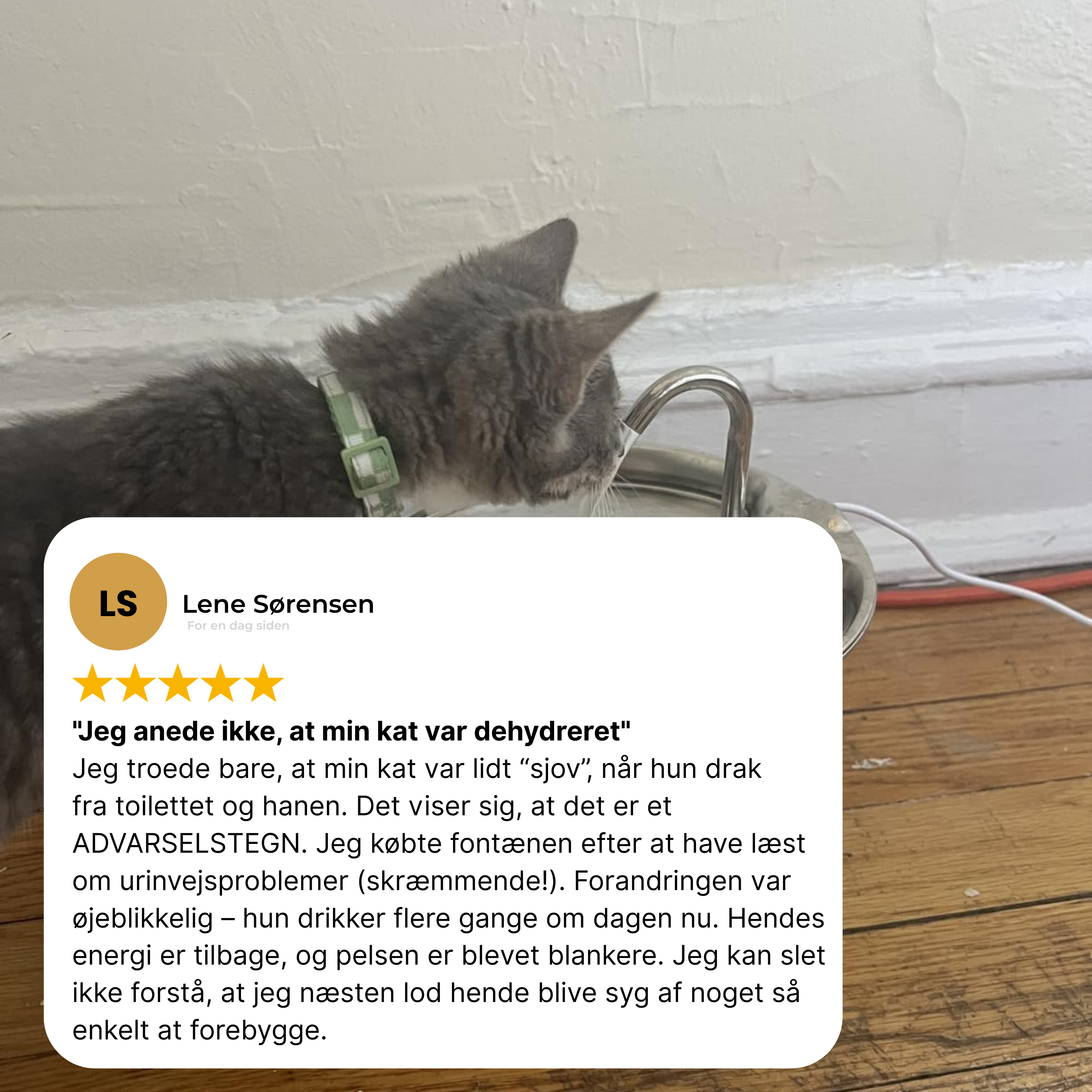 Kattellas vandfontæner i rustfrit stål