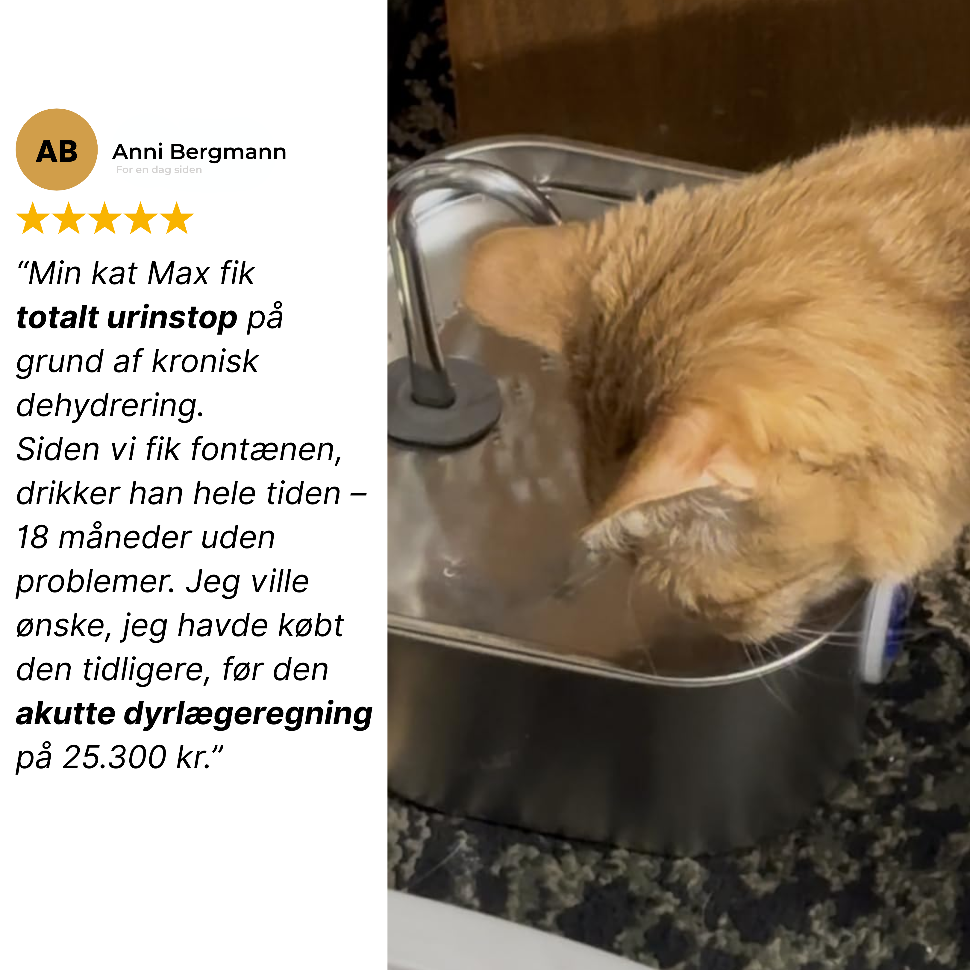 Kattellas vandfontæner i rustfrit stål